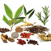 Manufacturers Exporters and Wholesale Suppliers of Herbal Products NEW DELHI DELHI